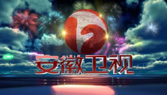 安徽公共在线直播